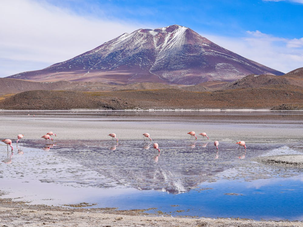 Bolivia